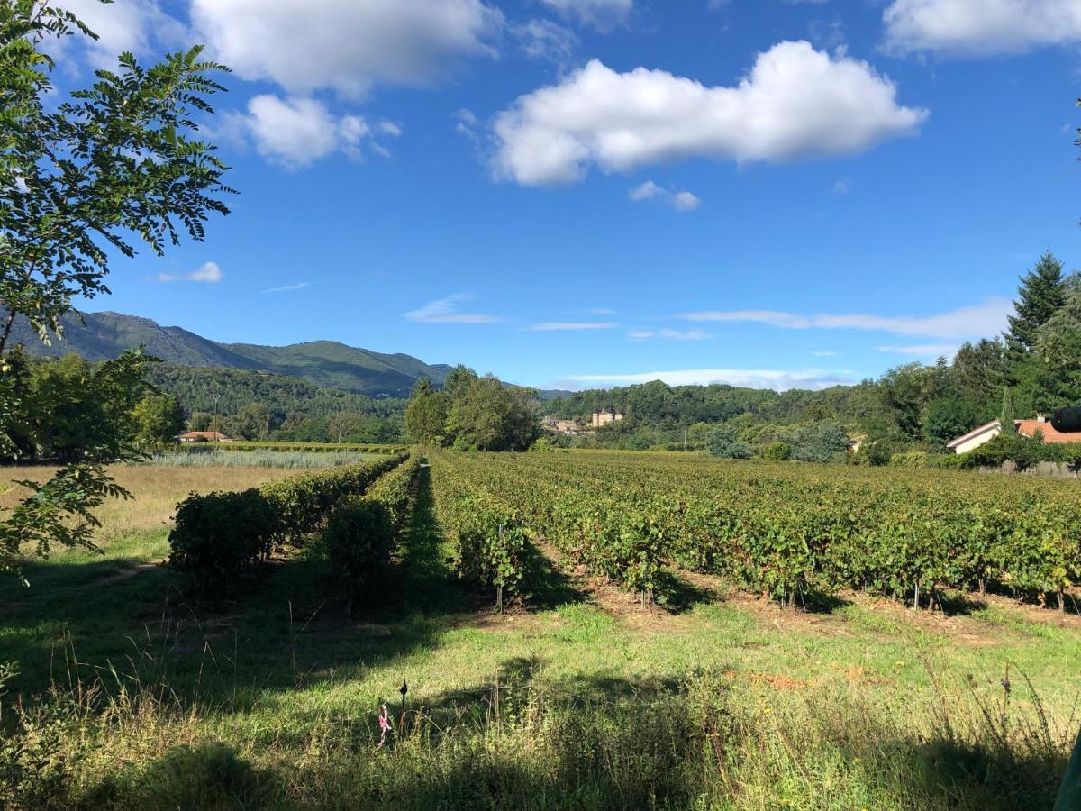Terres De France - Le Domaine Des Vans Chambonas Kültér fotó