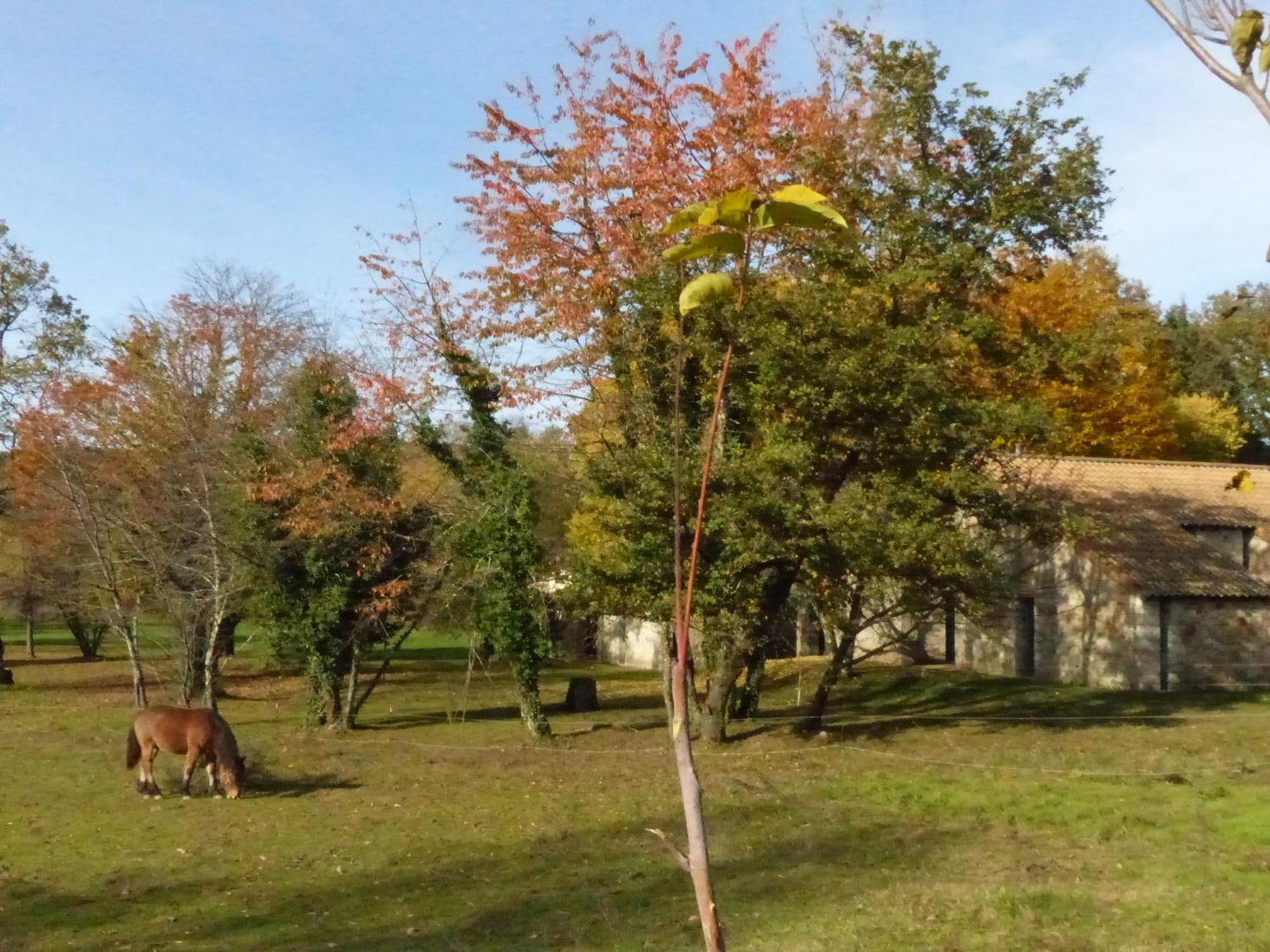 Terres De France - Le Domaine Des Vans Chambonas Kültér fotó