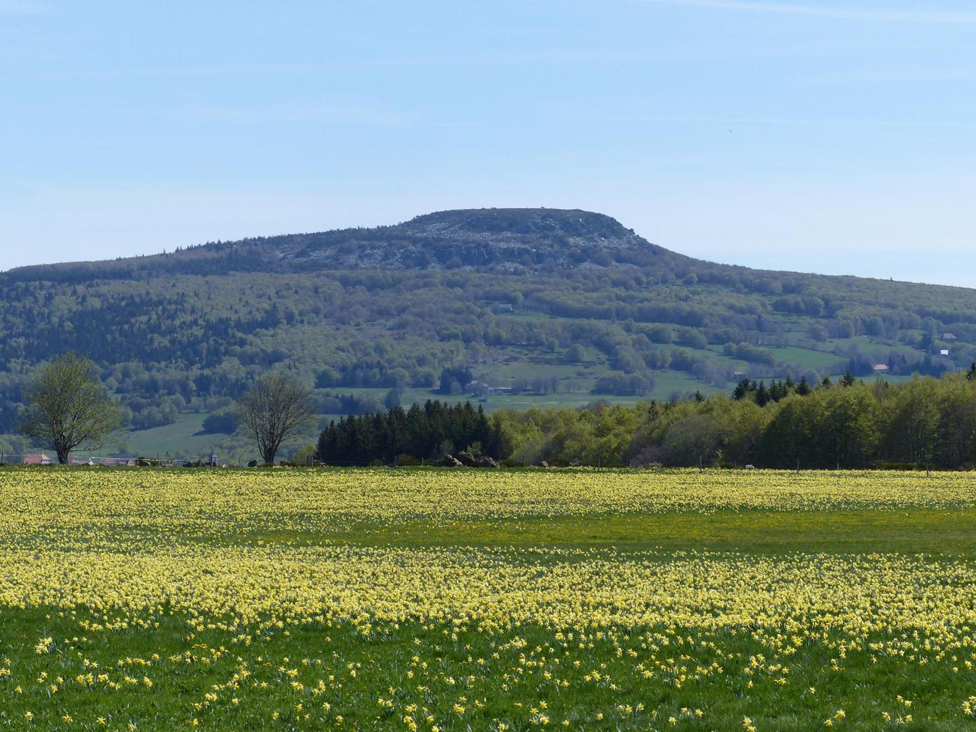 Terres De France - Le Domaine Des Vans Chambonas Kültér fotó