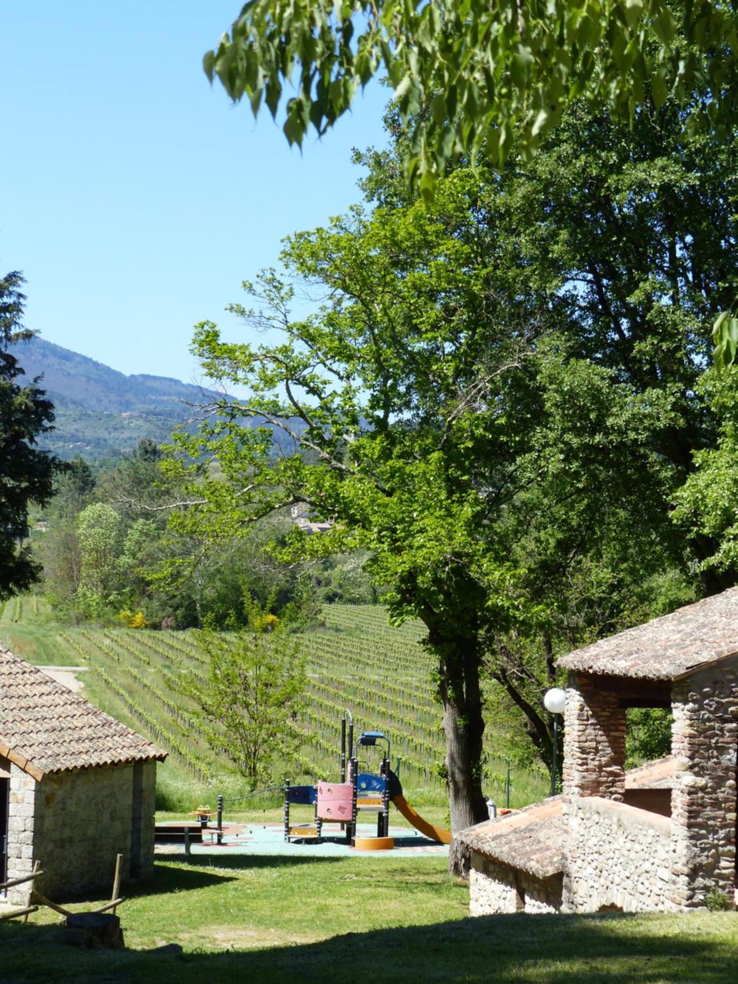 Terres De France - Le Domaine Des Vans Chambonas Kültér fotó